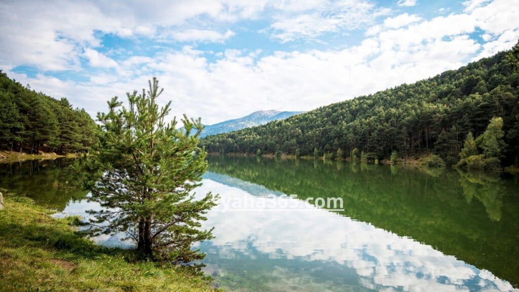 السياحة في فنلندا شهر أغسطس 8 آب August