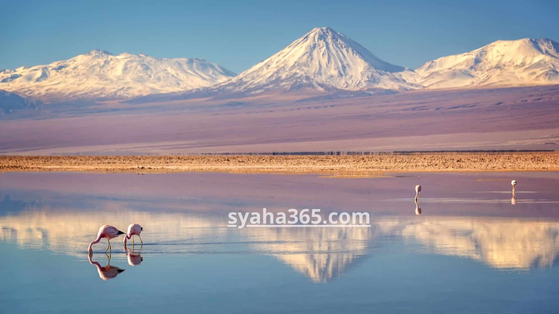 السياحة في تشيلي شهر أكتوبر