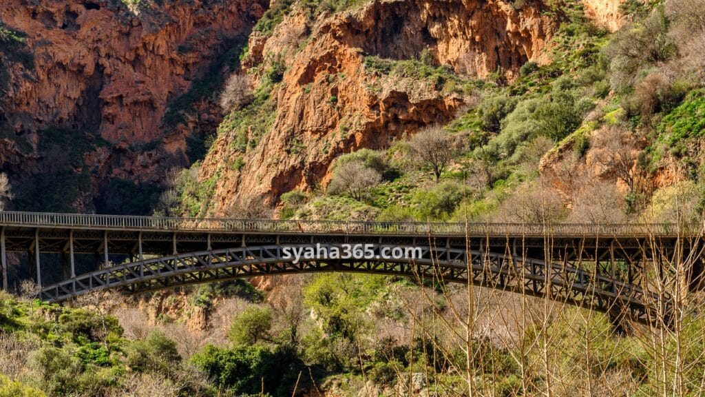 السياحة في الجزائر شهر نوفمبر