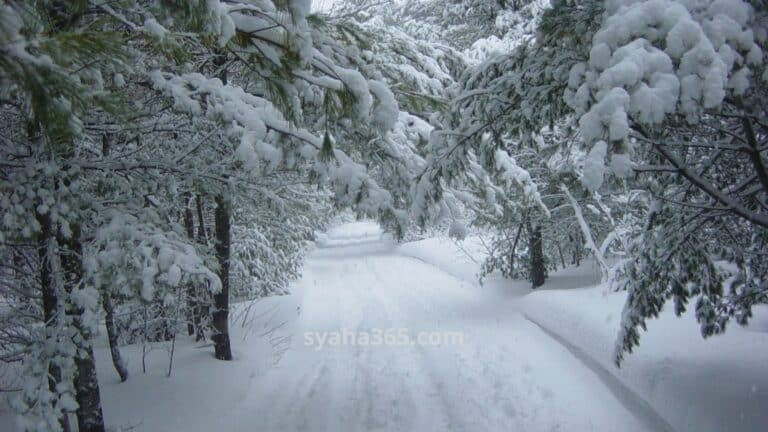 السياحة في النرويج شهر ديسمبر