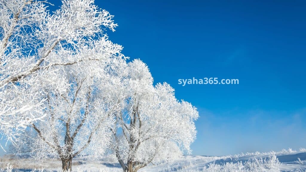 السياحة في كرواتيا شهر ديسمبر