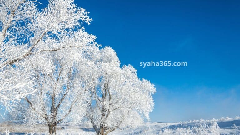 السياحة في كرواتيا شهر ديسمبر